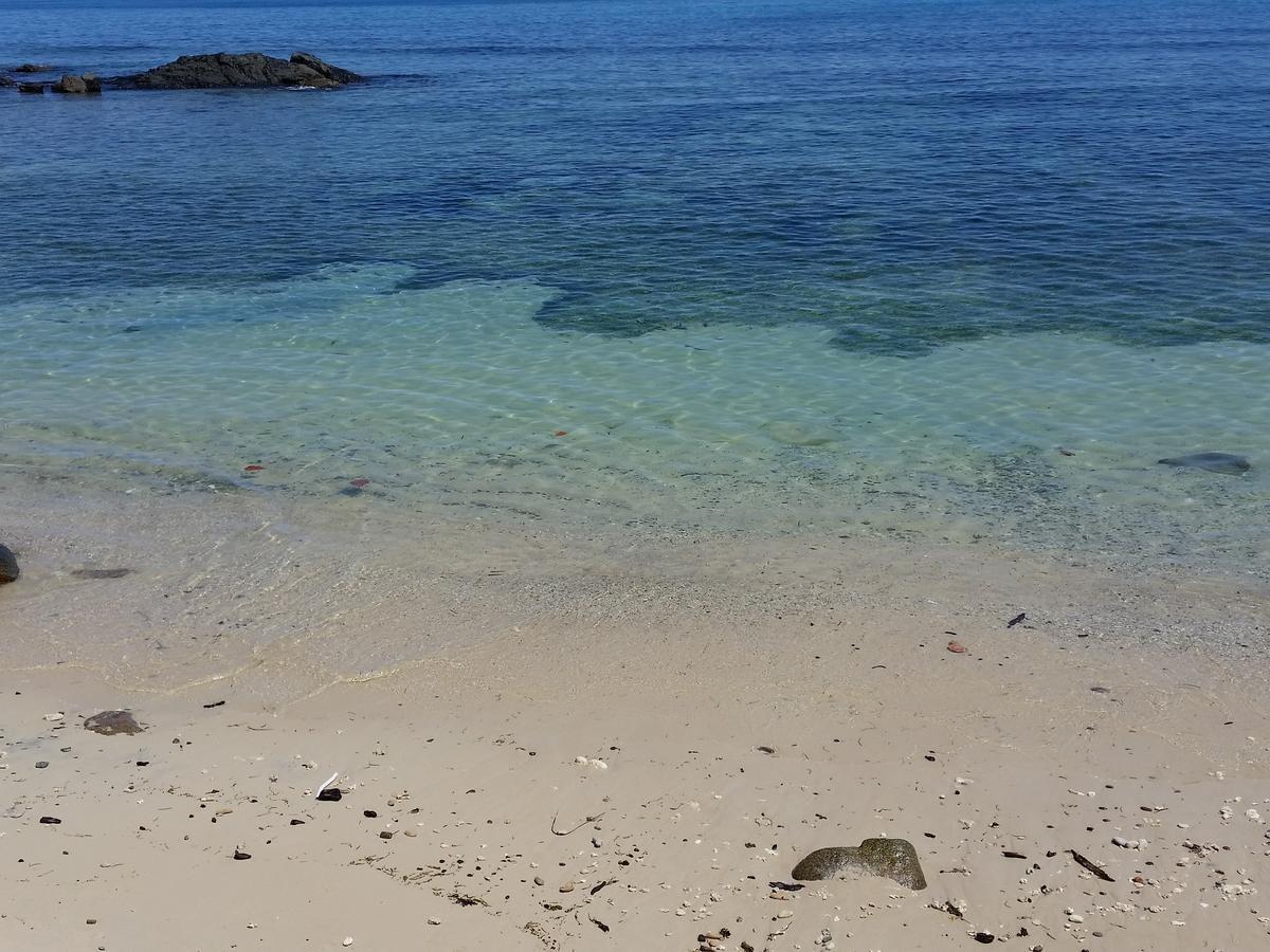 Apartamento Cove